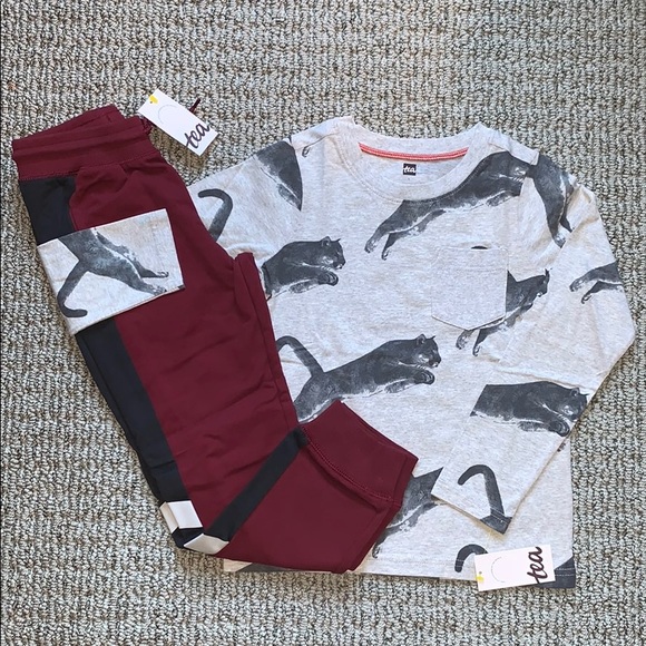 Tea Collection Other - NWT Tea Collection Long Sleeve Tee/Jogger, Size 6